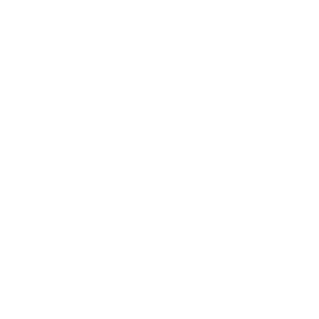 Z AI logo